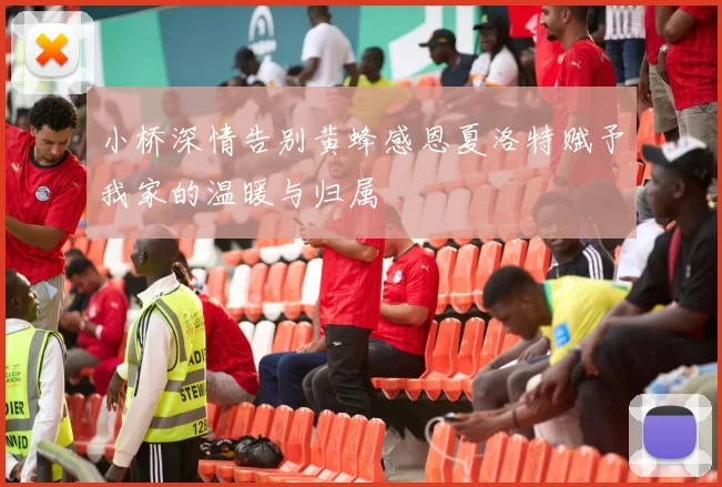 小桥深情告别黄蜂感恩夏洛特赋予我家的温暖与归属